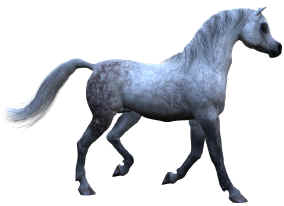 Alla's Arabian for the Daz3d Millennium Horse